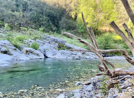 SEVEN CAMP - LE MARTINET 
