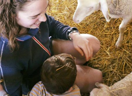 Des brebis, des hommes, le Causse Méjean … et moi ! 