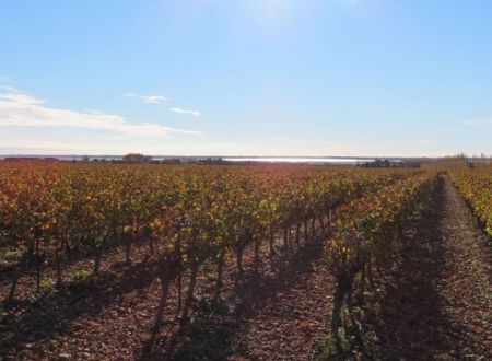 D'un canal à l'autre 