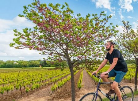 Boucle des Olivettes 