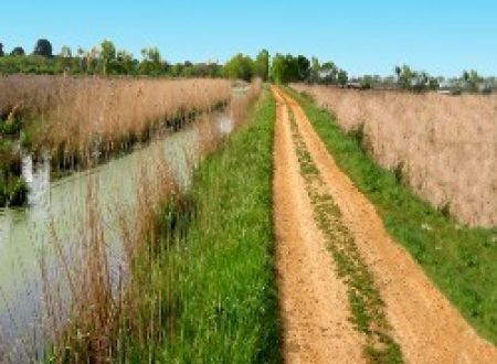Boucle des Costières 