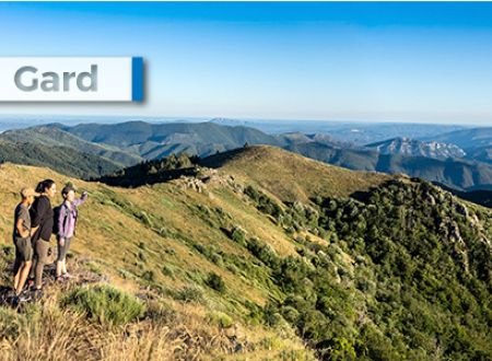 Beaver Trail - Beaver Confirmé 