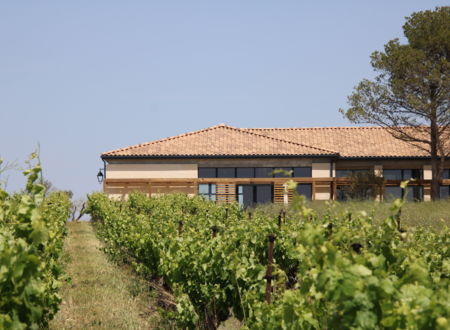 DOMAINE DE LA COSTE MOYNIER 