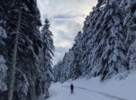 ESPACE NORDIQUE DU VAL D'AZUN - SOULOR - COURADUQUE 