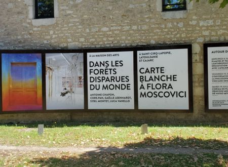 MAGCP - Maison des arts Georges et Claude Pompidou 