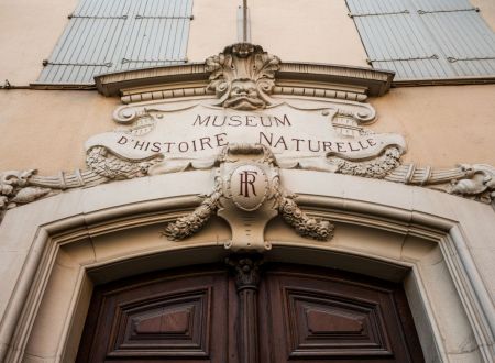 MUSEO DE HISTORIA NATURAL 