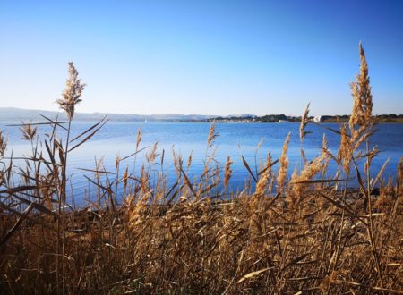 PARC NATUREL RÉGIONAL DE LA NARBONNAISE EN MÉDITERRANÉE 