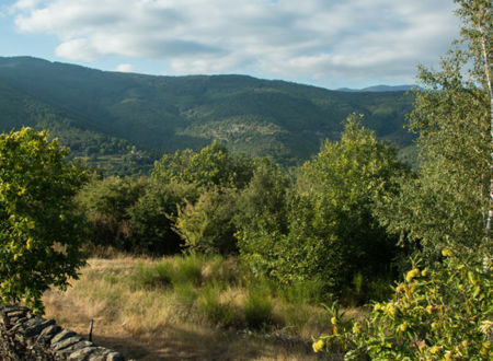 LE PARC NATIONAL DES CÉVENNES 