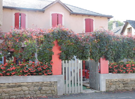 LES VIGNES ROUGES 