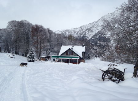 AUBERGE DU LIENZ CHEZ LOUISETTE 