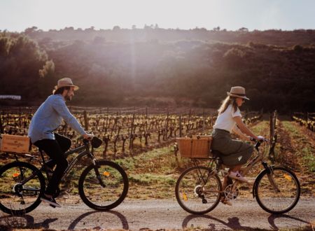 En Roussillon : A vélo dans les vignes de Tautavel 