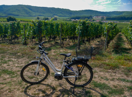 La Vinocycle Vignobles de Cahors en Vallée du Lot 