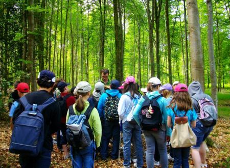 Classe de découvertes nature et environnement 