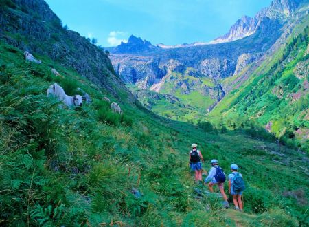 Classe découverte Milieu Montagnard 