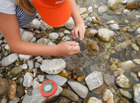 Classe Environnement (cycle 3) - Les apprentis naturalistes 