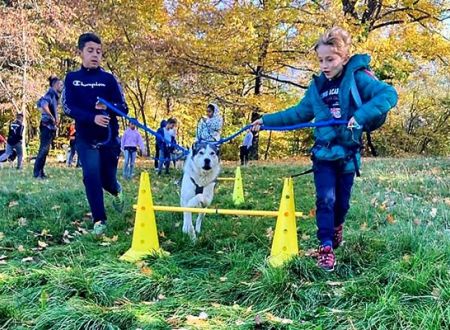 Classe de découverte environnement montagnard 