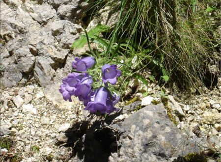 Le Sentier Cathare à pied : les Hauts Plateaux 