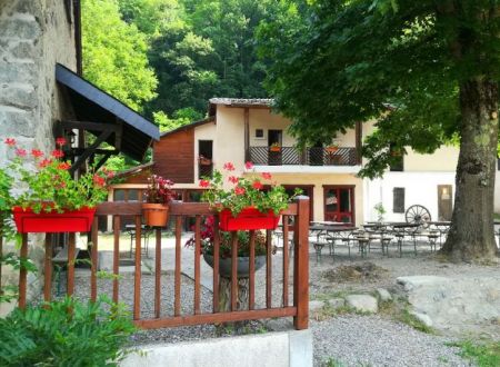 Classe de découverte RESISTANCE : 