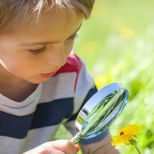 ENERGIES RENOUVELABLES 