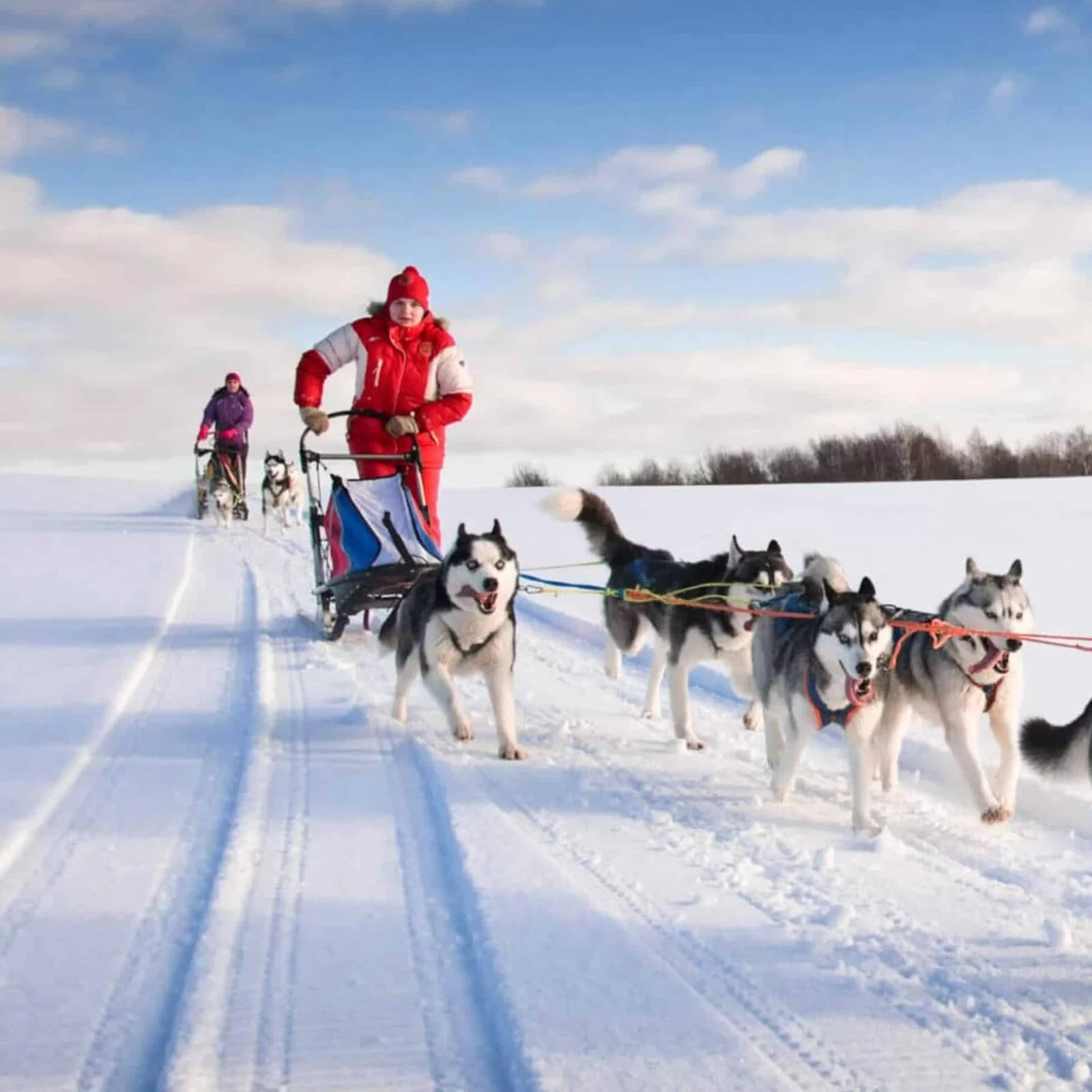 CLASSE CANI RANDO ET RAQUETTES A NEIGE 