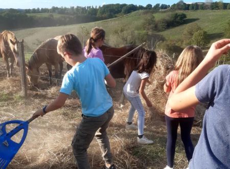 Aventure Equestre 