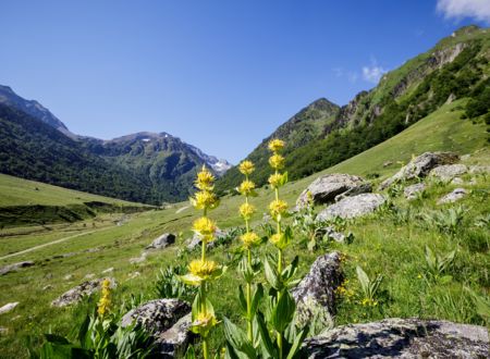 A la découverte des vallées pyrénéennes de l’Ariège 