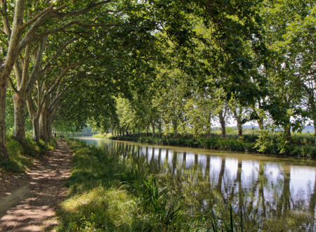 Au fil du Canal du Midi de Carcassonne à Sète 