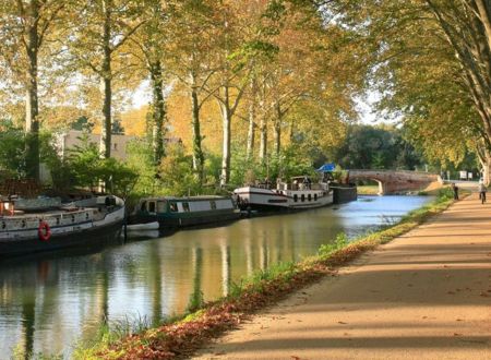 Canal du Midi à vélo de Toulouse à Sète 