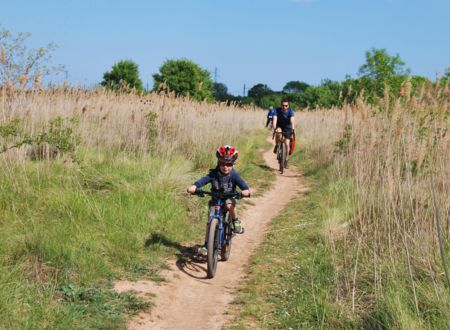 Le Canal du Midi à vélo en famille, de Toulouse à Carcassonne 