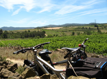 The Languedoc vineyards by bike 