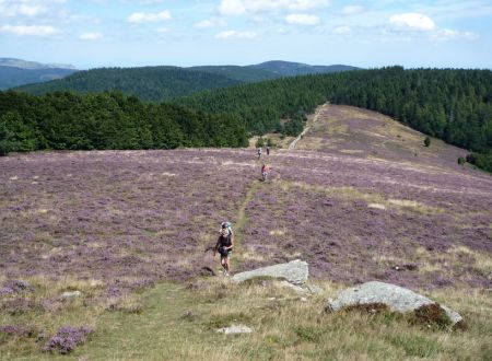 Sur les pas de Stevenson au coeur du parc national des Cévennes 