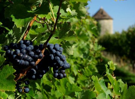 Gasgony bastides et wine of Saint Mont 