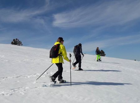 Snowshoeing with Babeth's trails 