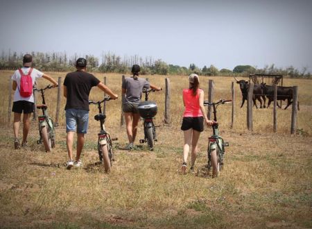 Electric bike safari, Ebike Tour - Camargue Découverte 