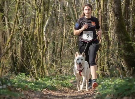 Cani-Cross avec Terre Sauvage 