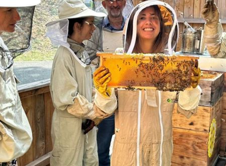 Initiation à l'apiculture 