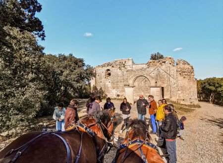 Balade découverte en calèche - Les Attelages du Vidourle 