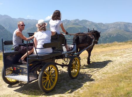 Calèche à cheval avec Angaka 