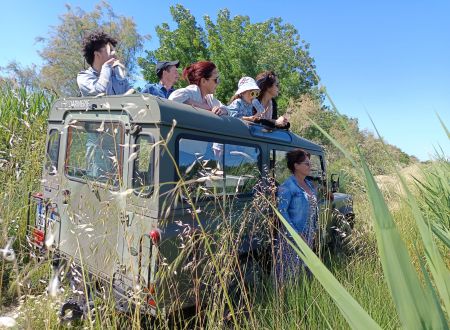Balade en 4x4 avec Karine Coeur de Camargue 