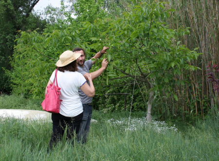 Visite du jardin et dégustation de glace artisanal - Sauvages et Compagnie 