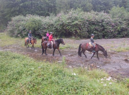 Randonnée équestre itinérante dans les Trois Vallées 