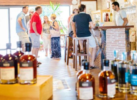 Escapade des vignes à la table 
