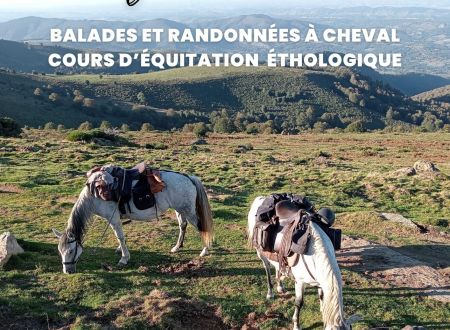 Balades à cheval 