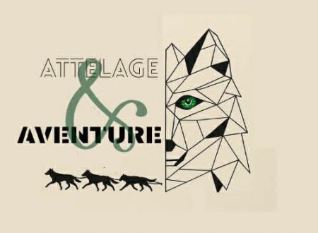Balade en chiens de traineau 