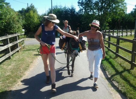 Ânes en Grésigne - Promenade avec un âne 