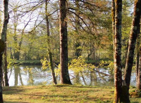 Camping Les Rives de Courtes 