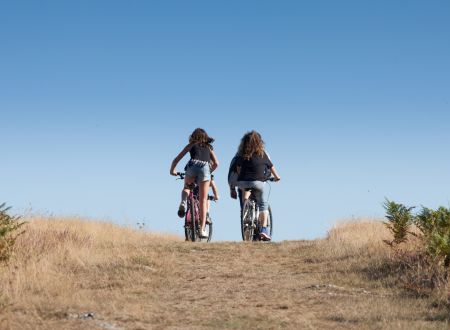 Location de VTT ado - Gîtes La Clairière 