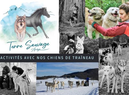 Terre sauvage, activités avec nos chiens de traîneau 