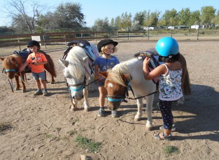 Poney-club de la Colline 