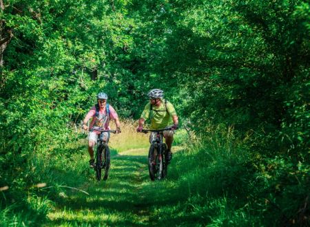 Location de VTT électriques 